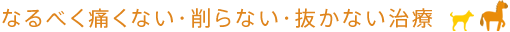 なるべく痛くない・削らない・抜かない治療