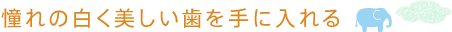 憧れの白く美しい歯を手に入れる